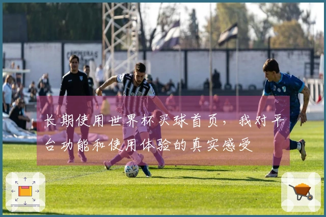 长期使用世界杯买球首页,我对平台功能和使用体验的真实感受
