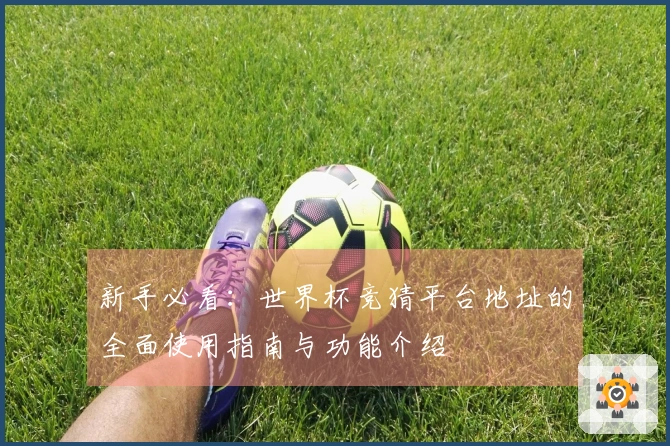 新手必看:世界杯竞猜平台地址的全面使用指南与功能介绍