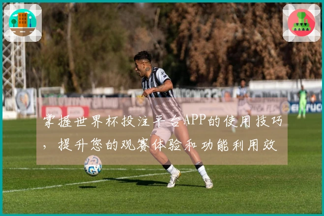掌握世界杯投注平台APP的使用技巧，提升您的观赛体验和功能利用效率