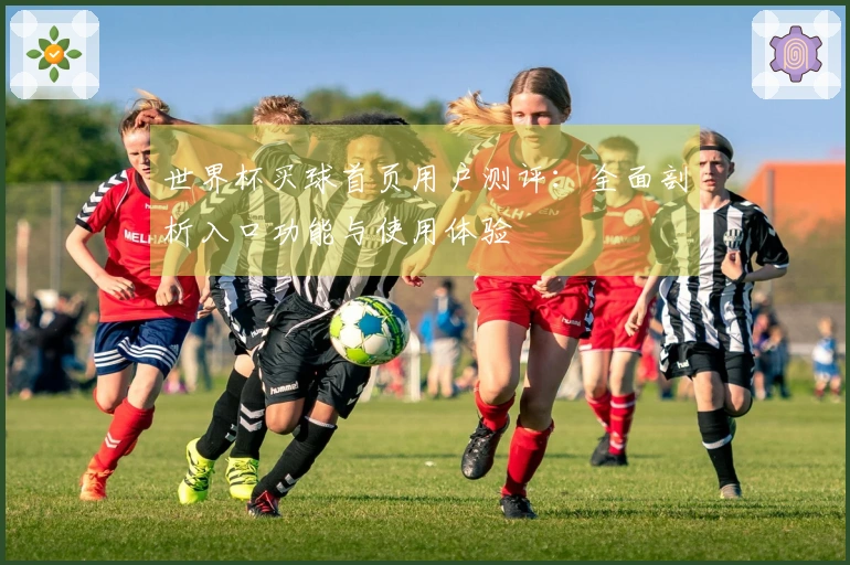 世界杯买球首页用户测评：全面剖析入口功能与使用体验