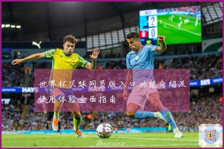 世界杯买球网页版入口功能介绍及使用体验全面指南