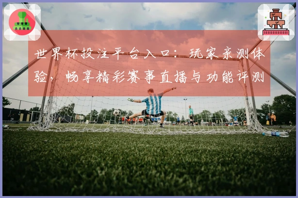 世界杯投注平台入口：玩家亲测体验，畅享精彩赛事直播与功能评测