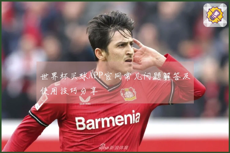世界杯买球APP官网常见问题解答及使用技巧分享