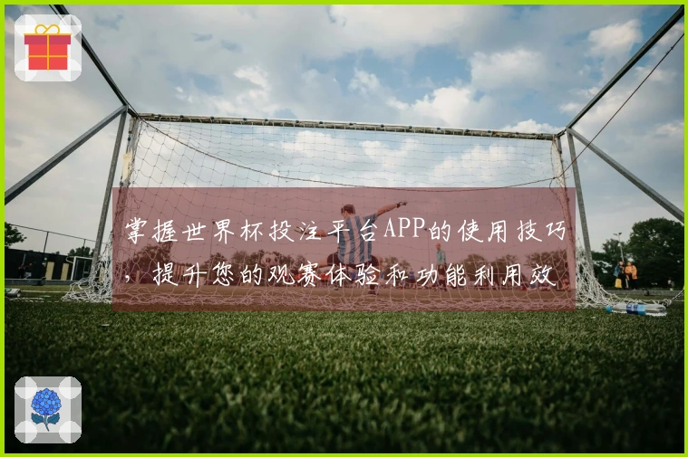 掌握世界杯投注平台APP的使用技巧，提升您的观赛体验和功能利用效率